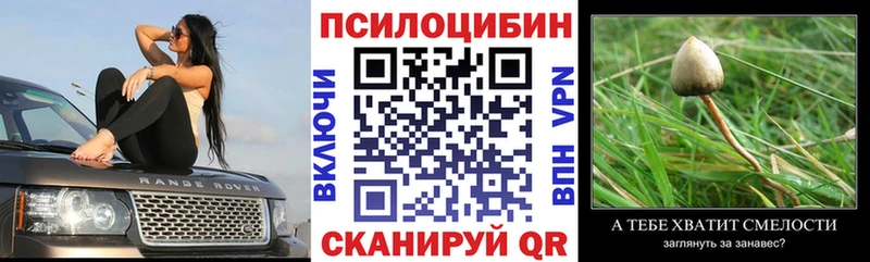 Псилоцибиновые грибы мицелий  купить наркоту  Шлиссельбург 